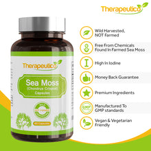 Load image into Gallery viewer, Sea Moss Capsules | Wild Harvested | 60 Veg Capsules | Full Spectrum | Chondrus Crispus | Premium Supplement | Vegan | No Binders, Fillers, Additives | UK Made